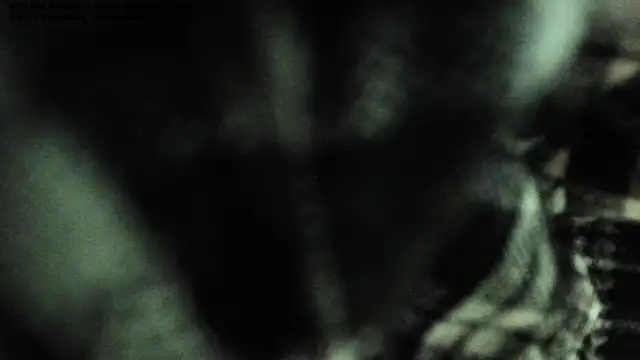 Snapshot of shamelesss_di chatting on 03-11-26, 05:52 shamelesss di online show from 03-11-26, 05:52