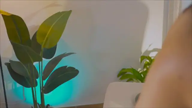 anabelcurvy online show from 02-06-25, 04:03