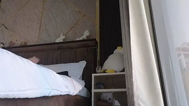 Snapshot of Allys chatting on 02-19-25, 07:50 Allys online show from 02-19-25, 07:50