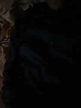 Snapshot of Itsdesi_boy chatting on 11-09-25, 12:14 Itsdesi boy online show from 11-09-25, 12:14