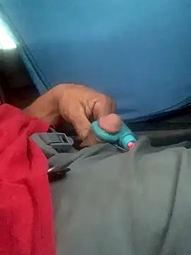 Snapshot of Likewise chatting on 12-08-24, 04:50 Likewise online show from 12-08-24, 04:50