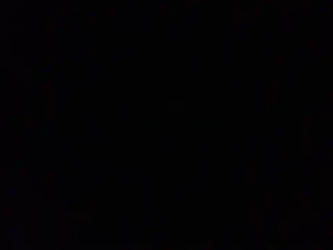 Snapshot of Likewise chatting on 12-29-24, 11:50 Likewise online show from 12-29-24, 11:50