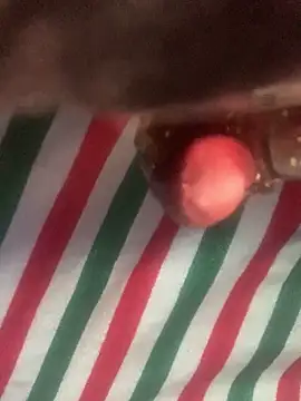 Snapshot of Likewise chatting on 01-29-25, 05:24 Likewise online show from 01-29-25, 05:24