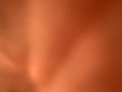 Snapshot of Likewise chatting on 10-01-25, 01:44 Likewise online show from 10-01-25, 01:44