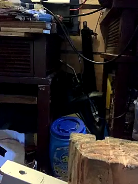 Snapshot of Likewise chatting on 10-19-25, 05:46 Likewise online show from 10-19-25, 05:46