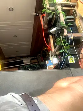 Snapshot of Likewise chatting on 12-18-25, 08:48 Likewise online show from 12-18-25, 08:48