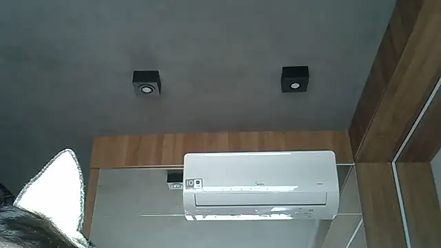 Skinny-Kitten online show from 10-09-25, 12:36