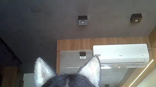 Skinny-Kitten online show from 11-19-25, 12:16