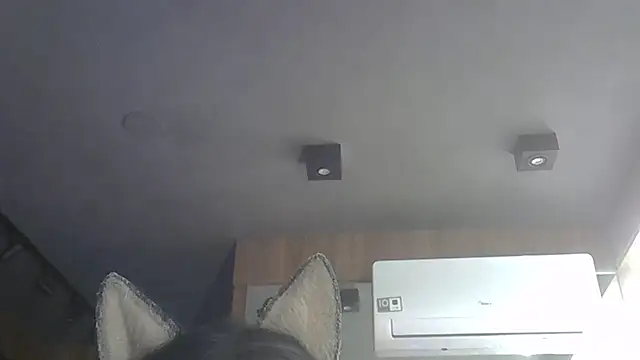 Skinny-Kitten online show from 11-27-25, 03:47