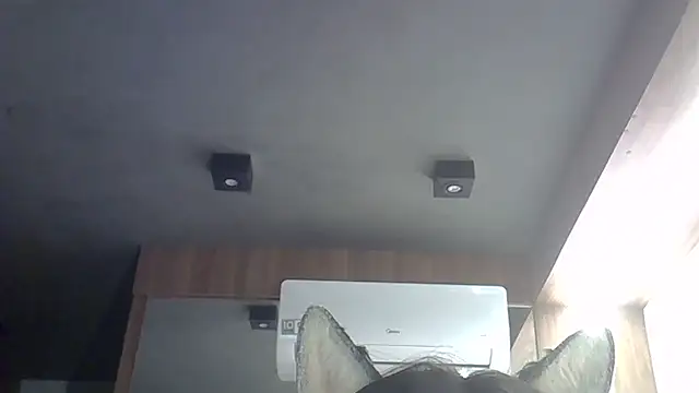 Skinny-Kitten online show from 02-22-26, 02:45