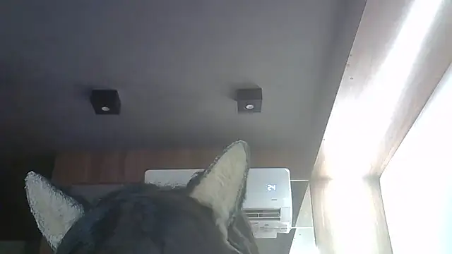 Skinny-Kitten online show from 03-21-26, 12:10