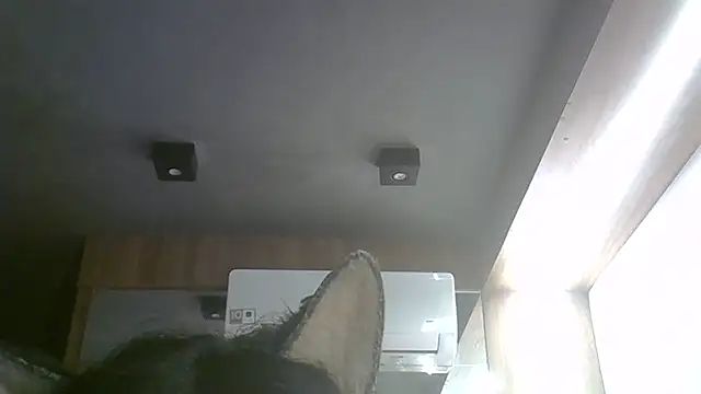 Snapshot of Skinny-Kitten chatting on 05-17-26, 11:17 Skinny-Kitten online show from 05-17-26, 11:17