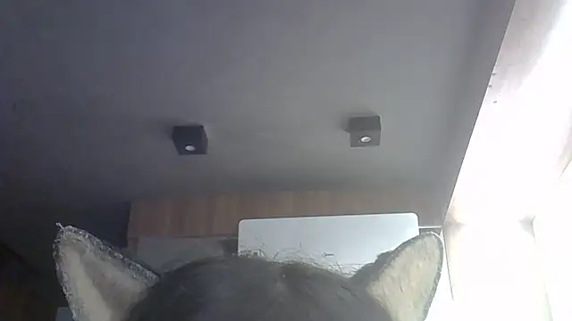 Snapshot of Skinny-Kitten chatting on 05-27-26, 04:37 Skinny-Kitten online show from 05-27-26, 04:37