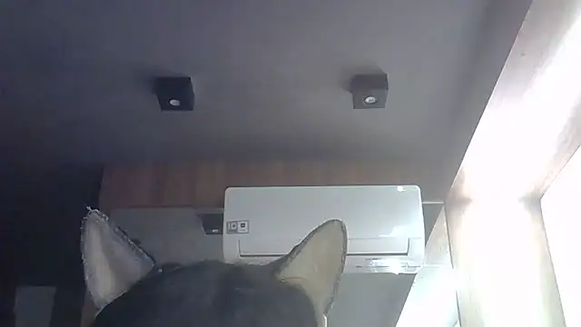 Snapshot of Skinny-Kitten chatting on 05-28-26, 04:59 Skinny-Kitten online show from 05-28-26, 04:59