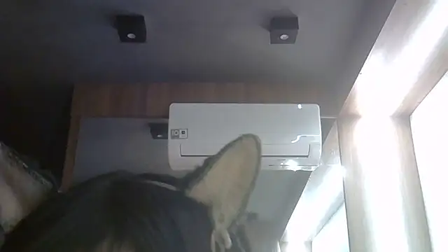 Skinny-Kitten online show from 06-27-26, 05:23