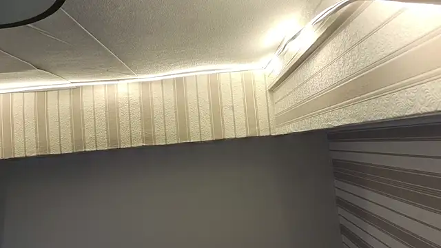 lily  foster online show from 09-28-25, 07:47