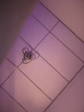 Snapshot of Charly_ chatting on 12-18-25, 05:13 Charly online show from 12-18-25, 05:13