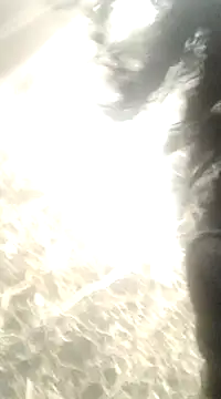 EllaViceX online show from 12-10-24, 07:26