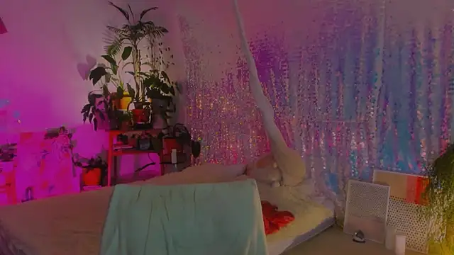 poli   online show from 12-17-24, 12:56