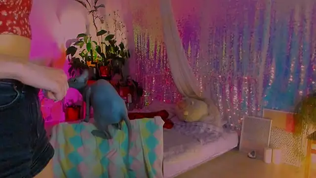 poli   online show from 02-06-25, 02:58