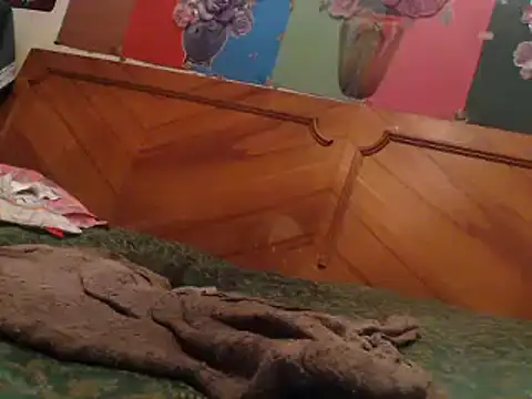 Snapshot of EllyseJenner chatting on 12-17-24, 06:31 EllyseJenner online show from 12-17-24, 06:31