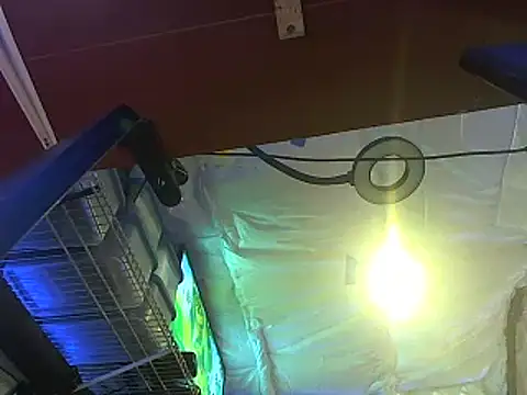 CloudDadddyyy420 online show from 10-15-25, 10:43