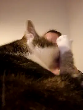 Wisie Cutie online show from 02-19-25, 11:04