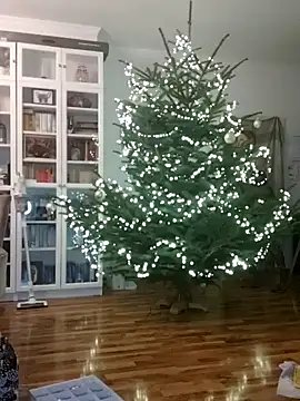 Snapshot of SexyDreamercouple89 chatting on 12-07-24, 06:48 SexyDreamercouple89 online show from 12-07-24, 06:48