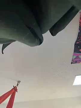 Snapshot of Terrafirma chatting on 01-27-25, 04:11 Terrafirma online show from 01-27-25, 04:11