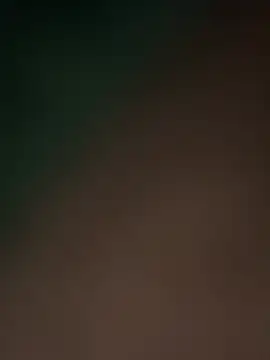 Snapshot of Terrafirma chatting on 02-16-25, 11:49 Terrafirma online show from 02-16-25, 11:49