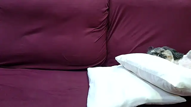 Kellynha Sweet online show from 12-18-25, 02:06