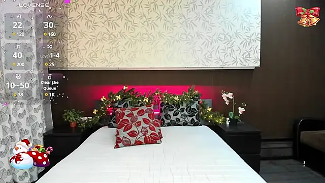 Snapshot of Donna_Evans chatting on 12-20-24, 10:00 Donna Evans online show from 12-20-24, 10:00