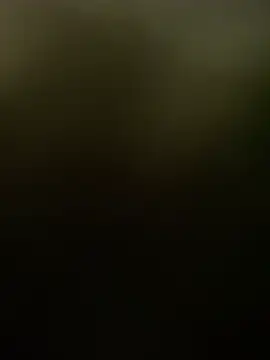 ft2022W online show from 04-02-26, 11:57