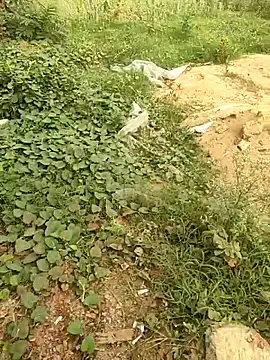 COUPLLE VILLAGE online show from 05-19-26, 01:44