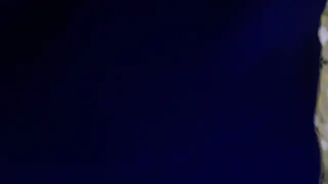 -AyeshaSinghania- online show from 02-13-26, 01:45