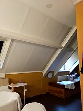 Snapshot of MarleneBloem chatting on 12-31-24, 01:52 MarleneBloem online show from 12-31-24, 01:52