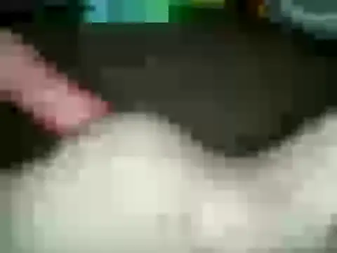 xxxlecram online show from 01-15-25, 02:56