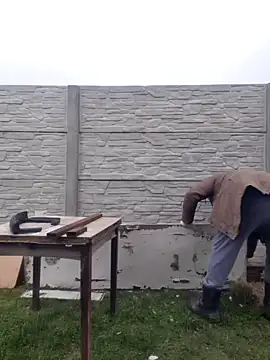 Pandasky online show from 02-06-25, 11:32