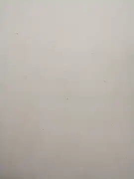 Shuttii 25 online show from 01-31-25, 06:13