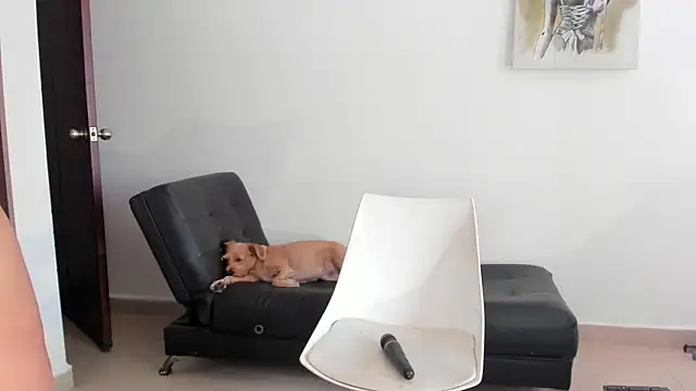 selene king2 online show from 12-10-24, 06:17