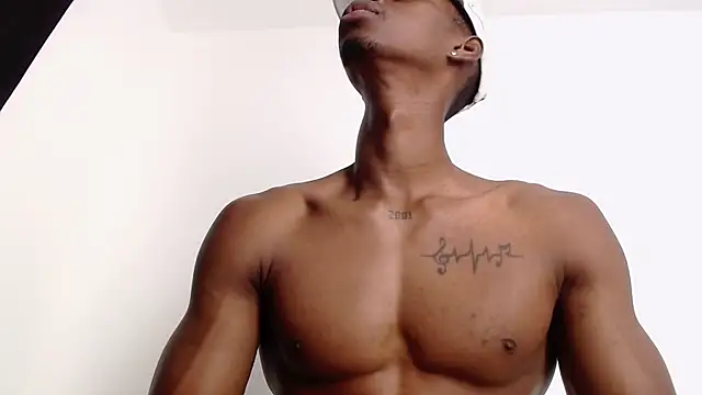 drake brwon 23 online show from 09-27-25, 07:57