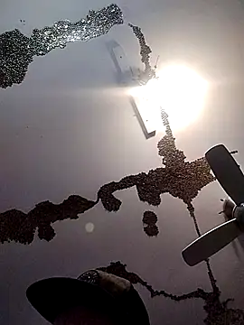 Snapshot of ColdVisitor chatting on 03-21-25, 06:38 ColdVisitor online show from 03-21-25, 06:38