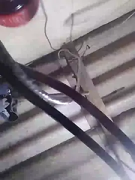 Snapshot of davidatration15 chatting on 03-05-25, 01:10 davidatration15 online show from 03-05-25, 01:10