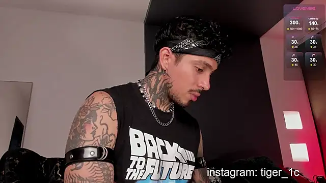 TigerStripes1  online show from 12-11-24, 11:54