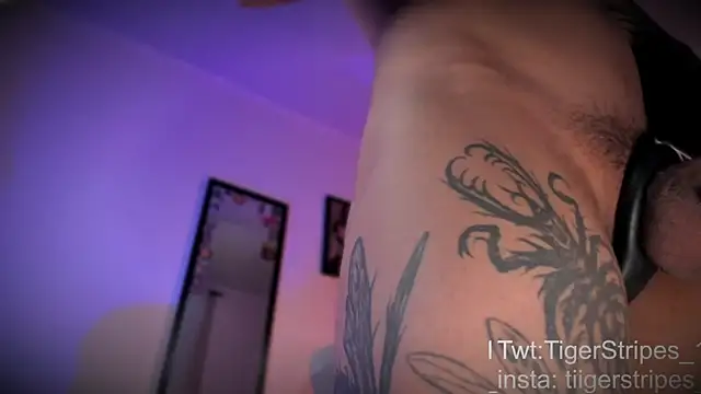 TigerStripes1  online show from 04-10-26, 12:32