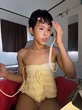 Plaxtique online show from 01-06-26, 01:31