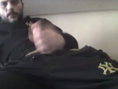 Snapshot of coppiasenzacensura chatting on 02-15-25, 01:38 coppiasenzacensura online show from 02-15-25, 01:38