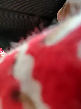 Snapshot of Kolkata___Boy chatting on 11-16-25, 05:46 Kolkata Boy online show from 11-16-25, 05:46